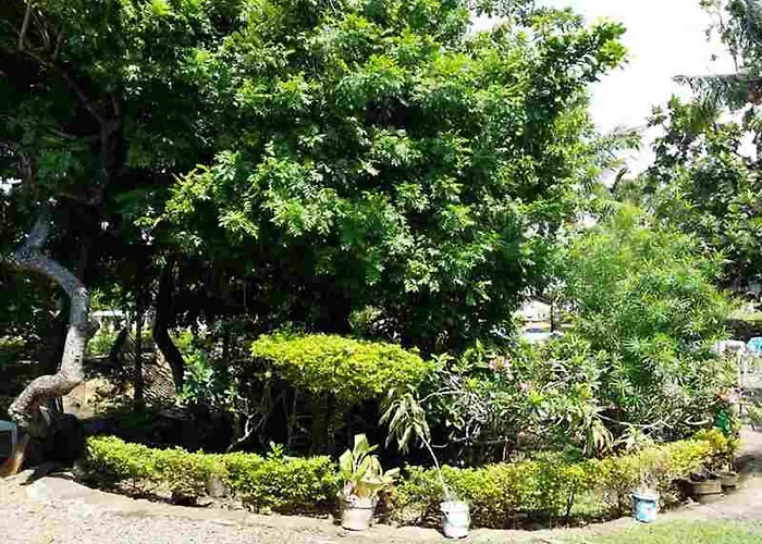 Lapu-lapu & Restaurant Zajazd